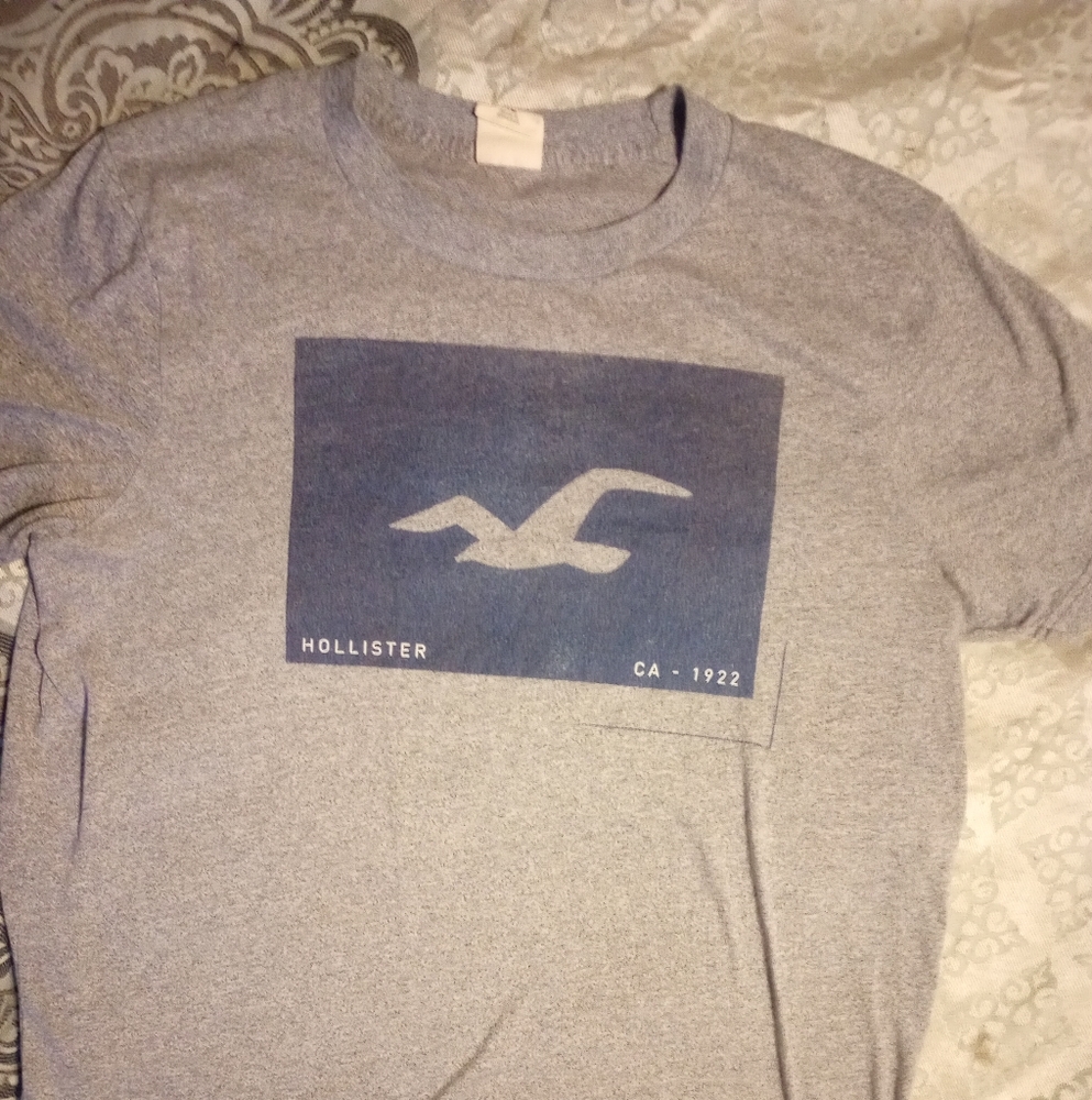 Hollister t shirt